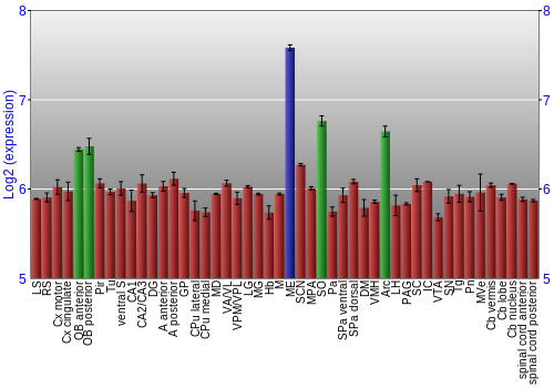 Multi-state expression graph