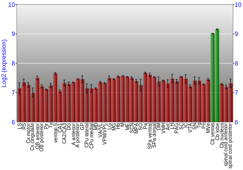 Multi-state expression graph