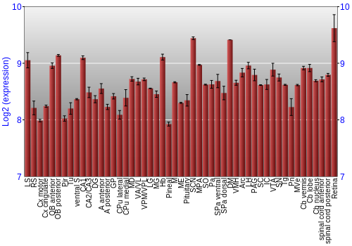 Expression graph