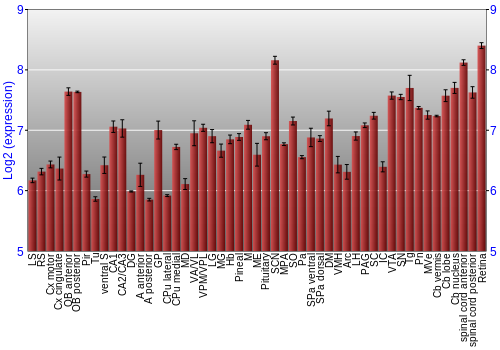 Expression graph