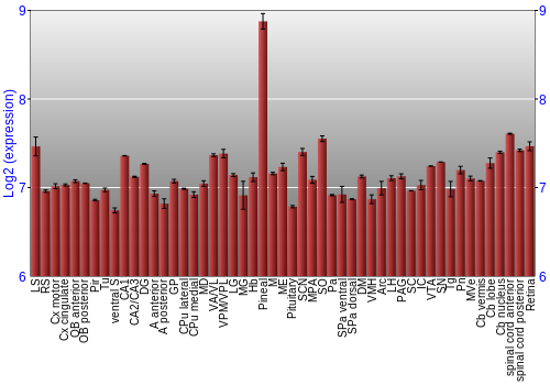Expression graph
