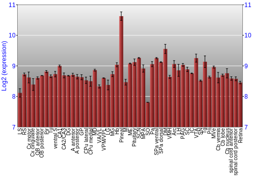 Expression graph