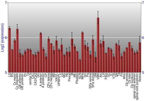 Expression graph