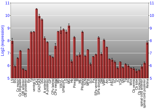 Expression graph