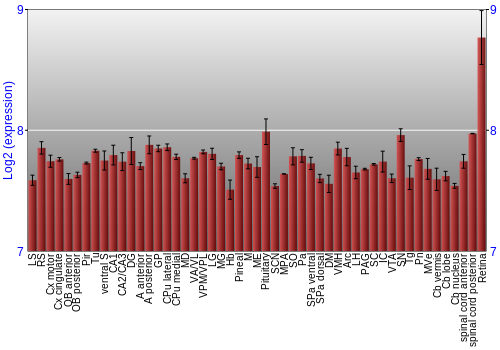 Expression graph
