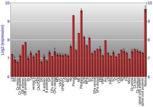Expression graph