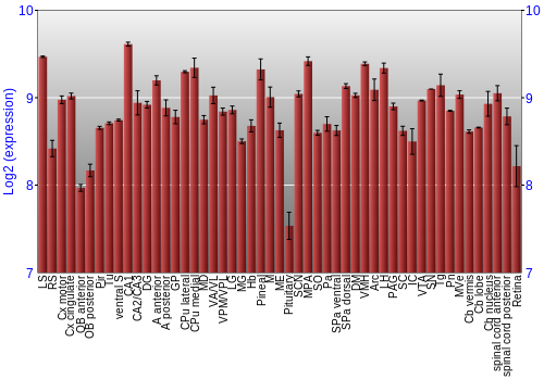 Expression graph
