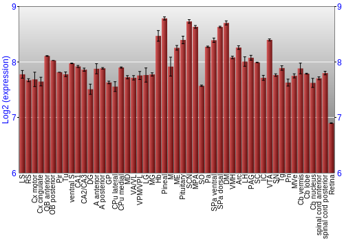 Expression graph