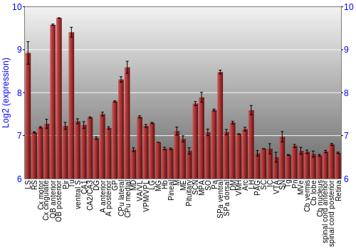Expression graph