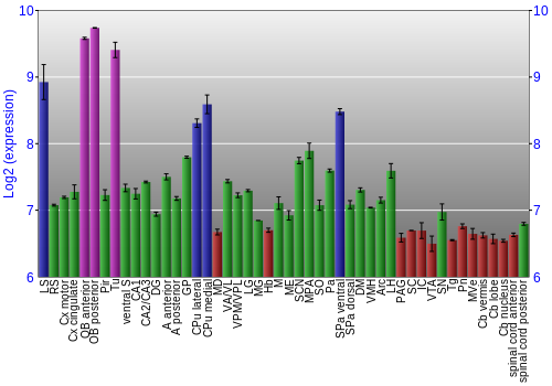 Multi-state expression graph