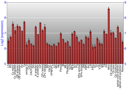Expression graph