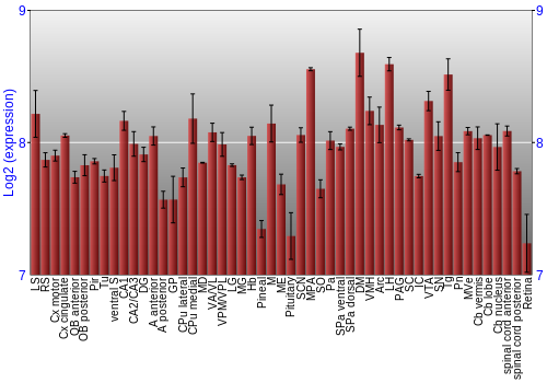 Expression graph