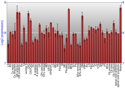 Expression graph
