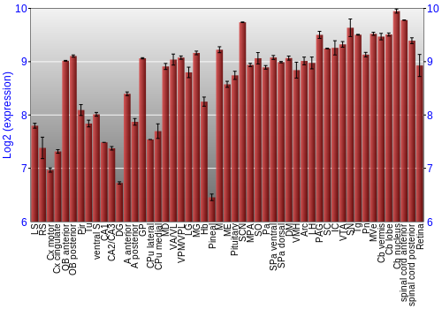 Expression graph