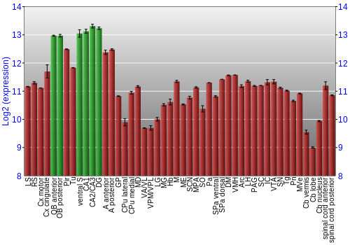 Multi-state expression graph