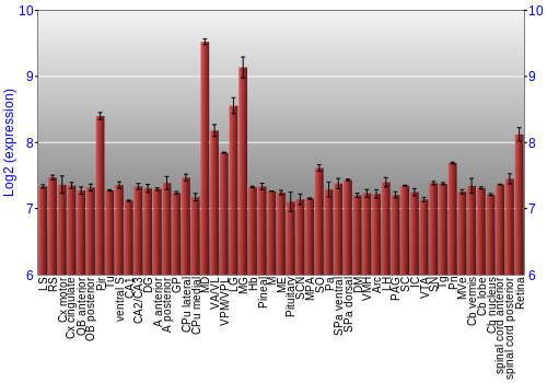 Expression graph