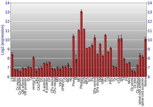 Expression graph