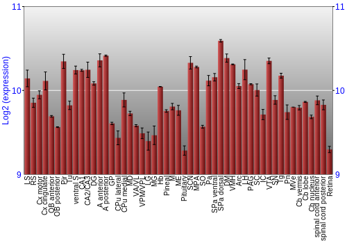 Expression graph