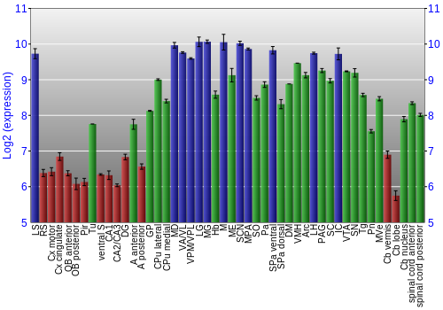 Multi-state expression graph