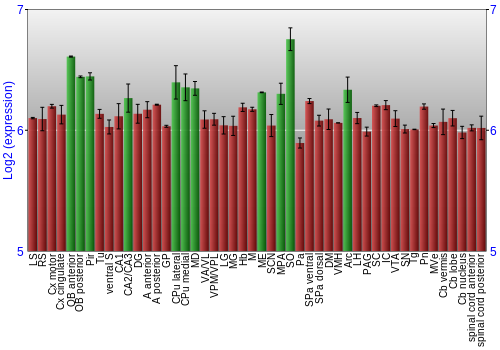 Multi-state expression graph