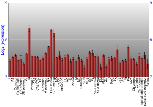 Expression graph