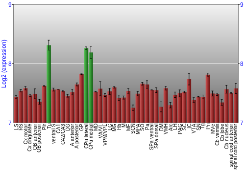 Multi-state expression graph