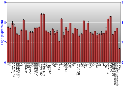 Expression graph