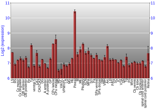 Expression graph