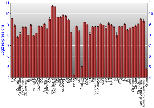 Expression graph