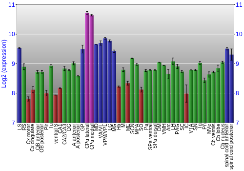 Multi-state expression graph