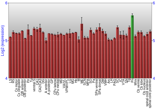 Multi-state expression graph