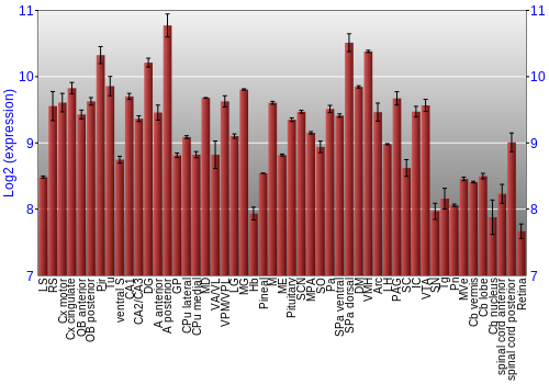 Expression graph