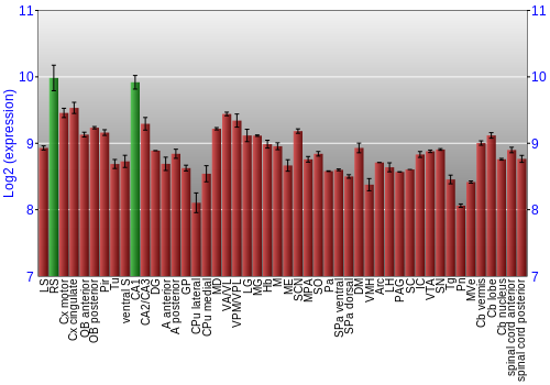 Multi-state expression graph