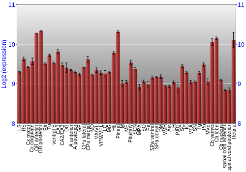 Expression graph