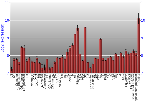 Expression graph
