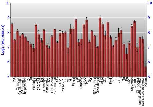 Expression graph