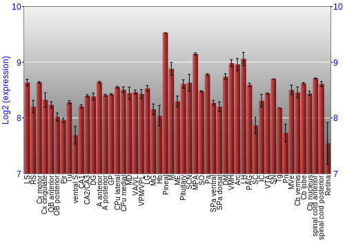 Expression graph