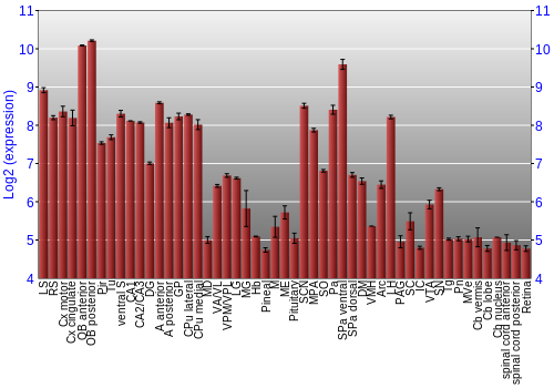 Expression graph