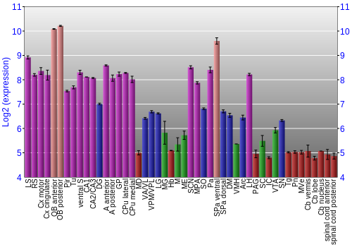 Multi-state expression graph