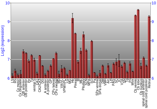 Expression graph