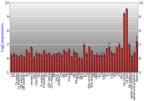 Expression graph