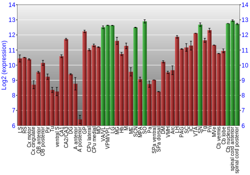 Multi-state expression graph