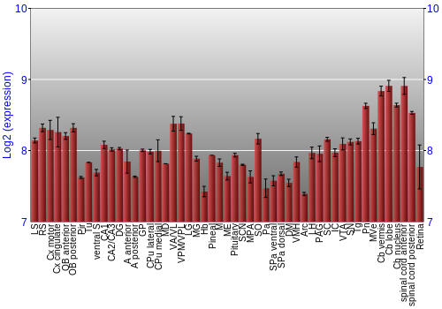 Expression graph