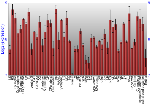 Expression graph