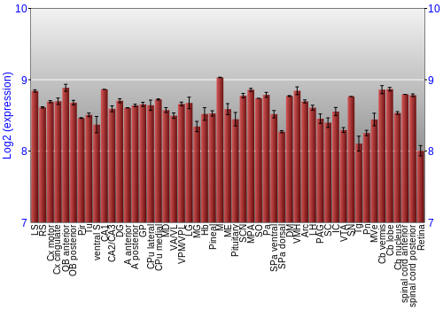 Expression graph