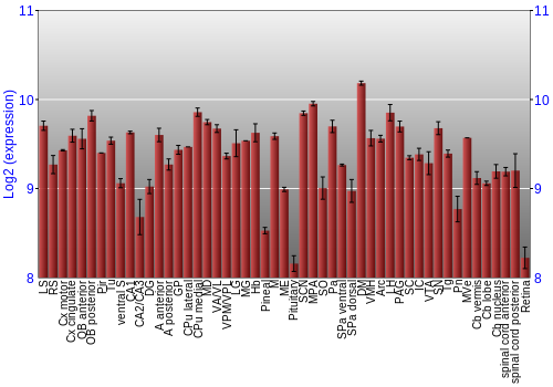 Expression graph