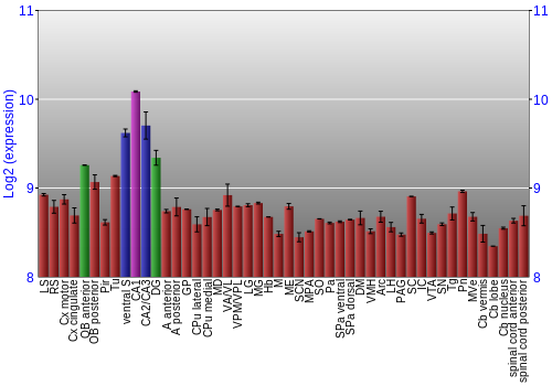 Multi-state expression graph