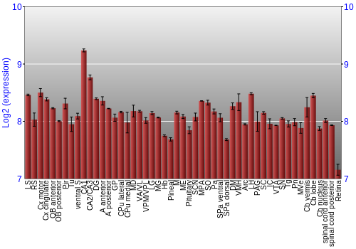 Expression graph