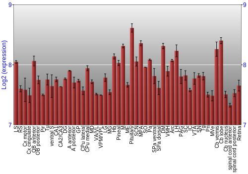 Expression graph