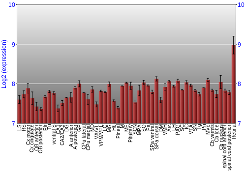 Expression graph